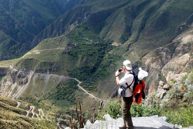 Wandeling in de Colca Canyon in Arequipa 2D/1N