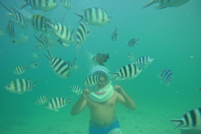 Zanzíbar: Aventura Sea Walk desde Kendwa y Nungwi