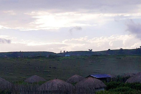 Viagem de 1 dia para a cratera de NgorongoroViagem de 1 dia à Cratera de Ngorongoro