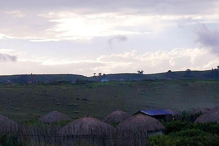 Viagem de 1 dia para a cratera de NgorongoroViagem de 1 dia à Cratera de Ngorongoro