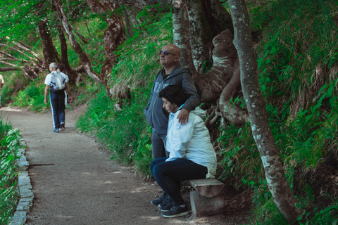 Zadar : Visite guidée des lacs de Plitvice avec billets