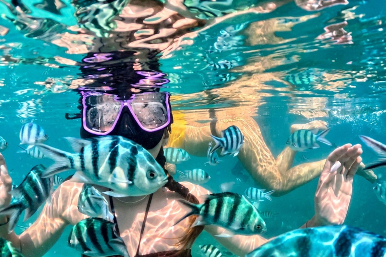 Pattaya: Koh Talu & 7 Islands Speedboat Tour with Lunch