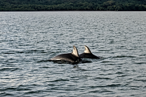 Boca Chica: Sunset boat tour and seaside dinner Shared sunset boat tour and dinner