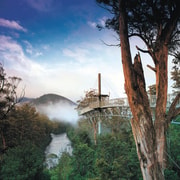 Hobart: Hastings Cave, Tahune Airwalk and Huon Tasting Trail