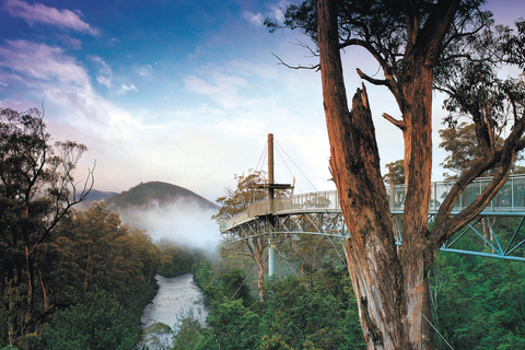 Hobart: Jaskinia Hastings, Tahune Airwalk i Huon Tasting Trail