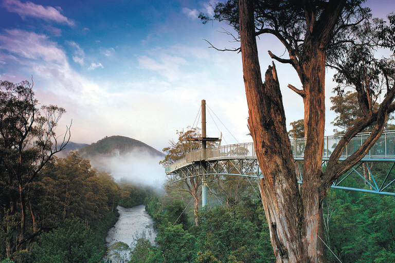 Hobart: Jaskinia Hastings, Tahune Airwalk i Huon Tasting Trail