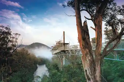 Hobart : Hastings Cave, Tahune Airwalk et Huon Tasting Trail