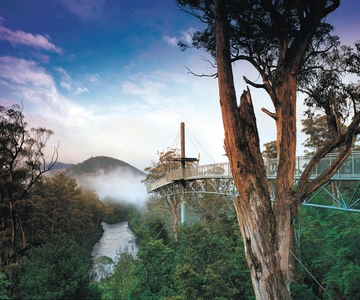 Hobart: Hastings Cave, Tahune Airwalk og Huon Tasting Trail