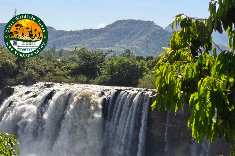 Äthiopien: 29-tägige Tour durch den Norden, Osten und Süden