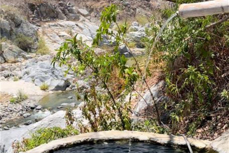 Huatulco: Tour delle sorgenti termali del fiume Xadani con pranzo