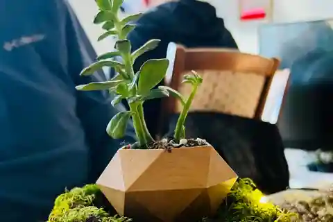Magnetic Floating Terrarium Workshop