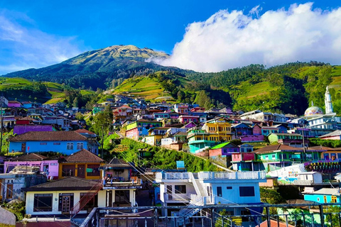 Yogyakarta; świątynia Selogriyo i Nepal van Java