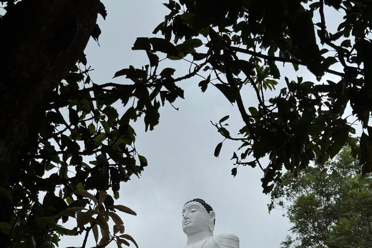 Kandy: Sir James Taylor’s Loolkandura Tea Heritage Hike