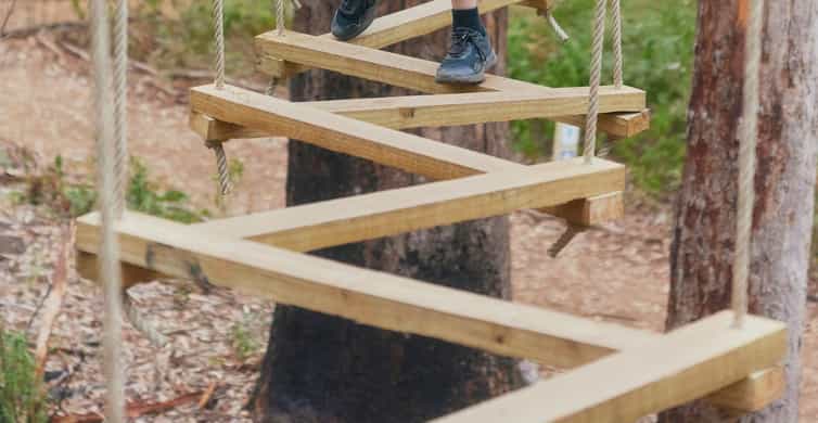 Pemberton: 1 Hour Explorer Pass with Ziplines and High Ropes | GetYourGuide