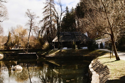 Desde Bucarest: Descubre la Transilvania medieval en una excursión de 3 días