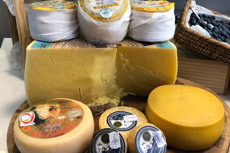 Porto: Cheese and Port Wine Tasting in a Unique Place