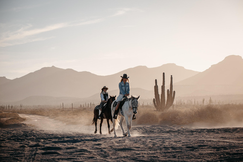 La Paz: Scenic Beach Horseback Ride