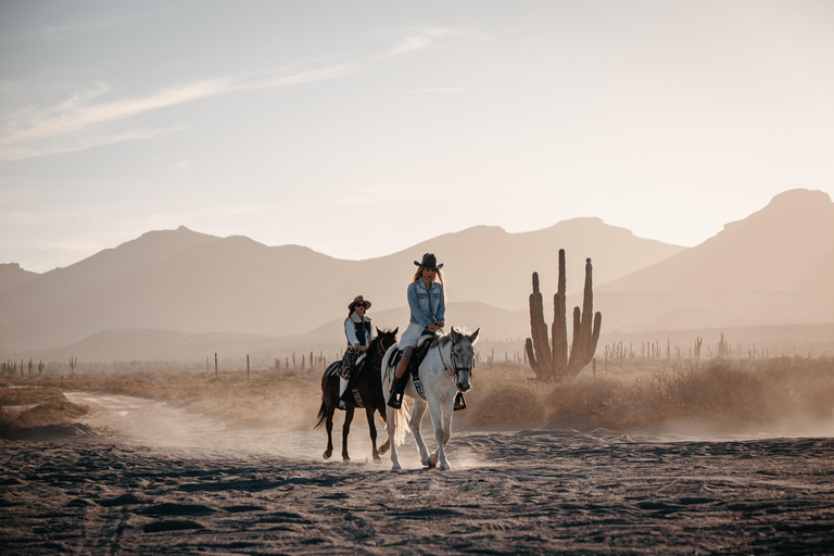 La Paz: Scenic Beach Horseback Ride