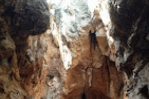 Journey to the Cradle of Humankind