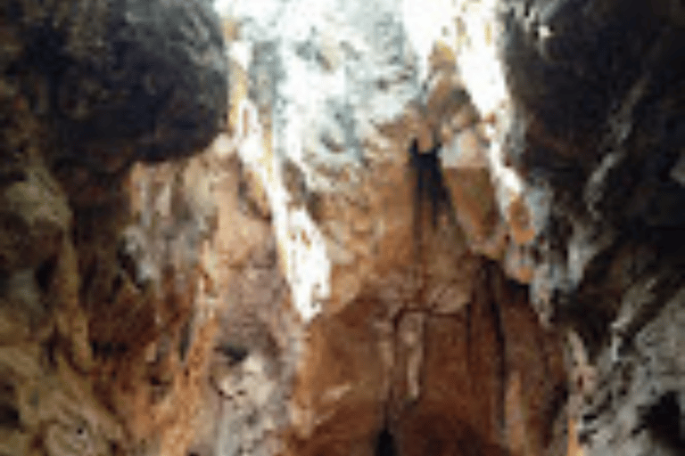 Journey to the Cradle of Humankind