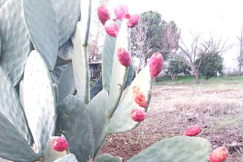 Kusadası: Countryside Tour with Lunch and Drinks