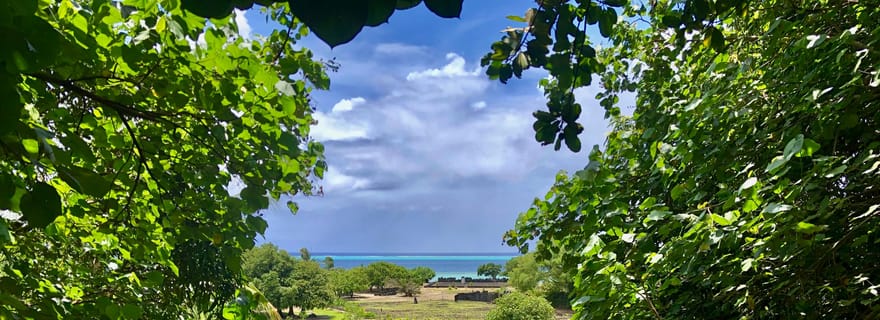 À ne pas manquer : Nature, Culture & Moments Uniques – MirimirI Tours