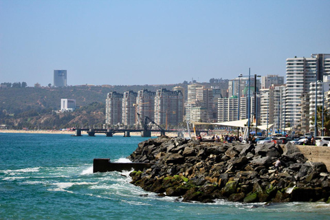 From Santiago: Full-Day Tour of Viña del Mar and Valparaiso