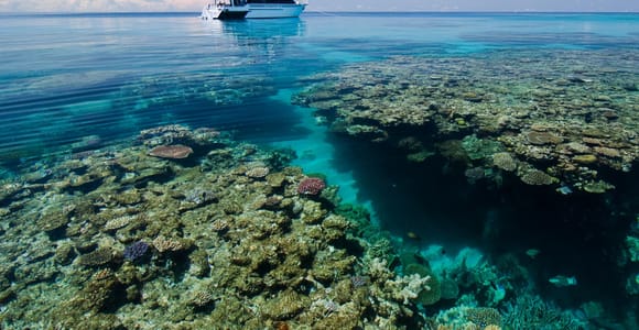Cairns: Pro Dive 5-Day Learn to Dive Great Barrier Reef