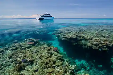 Cairns: Great Barrier Reef 5 Day Learn to Dive Course