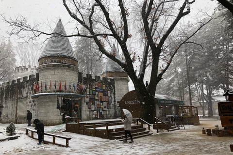 Seoul: Elysian Ski + Eobi Ice Valley + NamiDeparting from Hongik Univ. Station Exit 8 - Sled