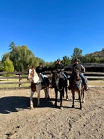 Tuscon, Rancho de Los Cerros Horseback Riding Tour - Housity