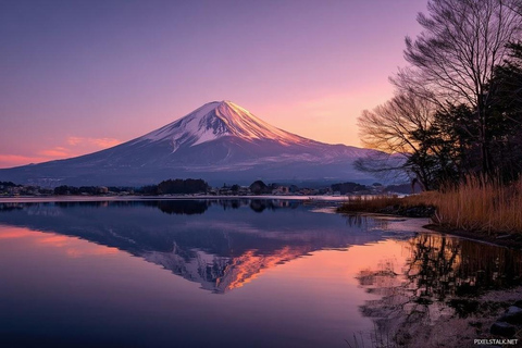 Mt.Fuji Private Tour; English Guide Fully Customizable