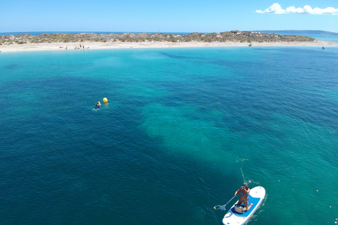 Exclusive Catamaran Sail to Formentera
