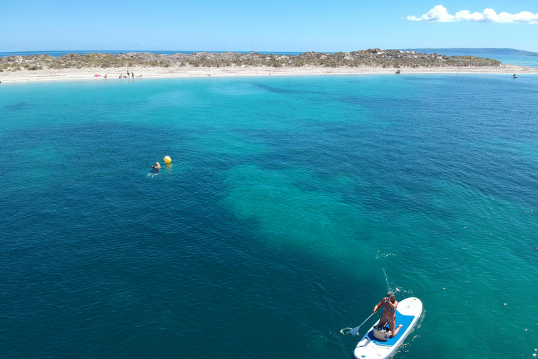 Exclusive Catamaran Sail to Formentera