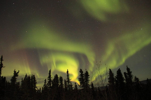 Fairbanks : lodge d'observation des aurores boréales
