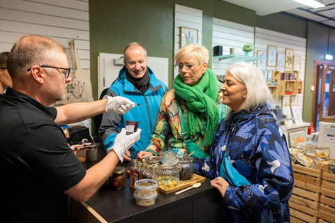 Reykjavik : Visite guidée de la ville à Noël