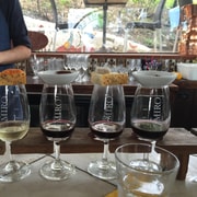 Waiheke Island Wine Tours - PREMIUM Wines - Max 11 clients !