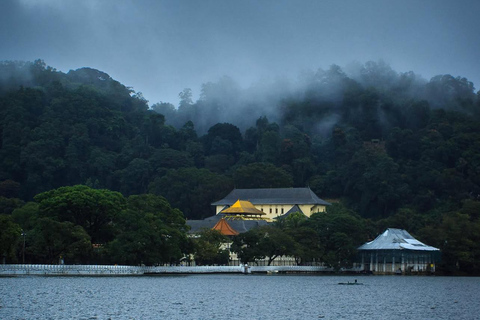Ella To Kandy Private Transfer With Train Ride Experience