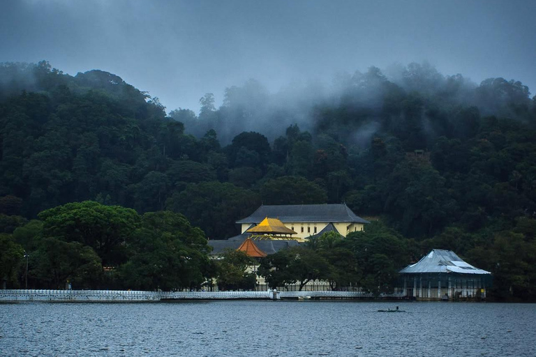Ella To Kandy Private Transfer With Train Ride Experience