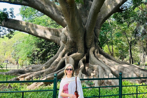 Bangalore door de eeuwen heen - Dagvullende tour met lunch