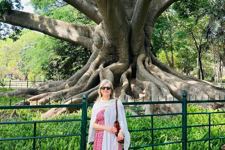 Bangalore door de eeuwen heen - Dagvullende tour met lunch