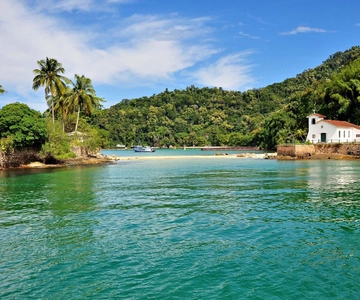 Mambucaba River Rafting with Stunning Forest Scenery Access