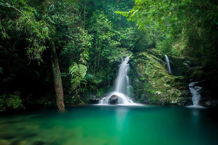 Bach Ma National Park Jungle Trek & Waterfall Adventure From Hue City: Group Tour