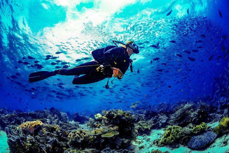 Scuba dive in Eilat, Israel