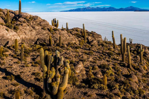 Uyuni : visite d&#039;une journée des salines et de l&#039;île d&#039;Incahuasi