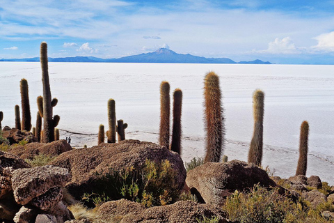 Z La Paz do La Paz: Uyuni Salt Flat Tour 1D + nocne autobusy