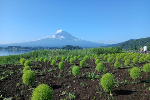 From Tokyo: Mt. Fuji Views Private Customize Itinerary Tour