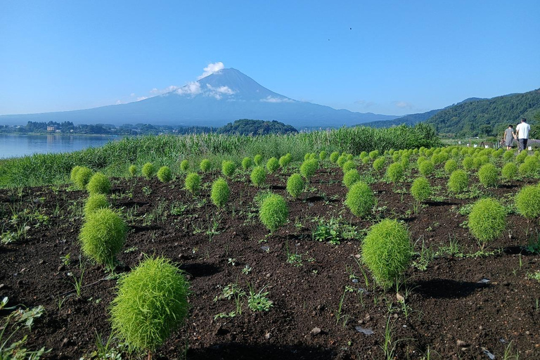 From Tokyo: Mt. Fuji Views Private Customize Itinerary Tour