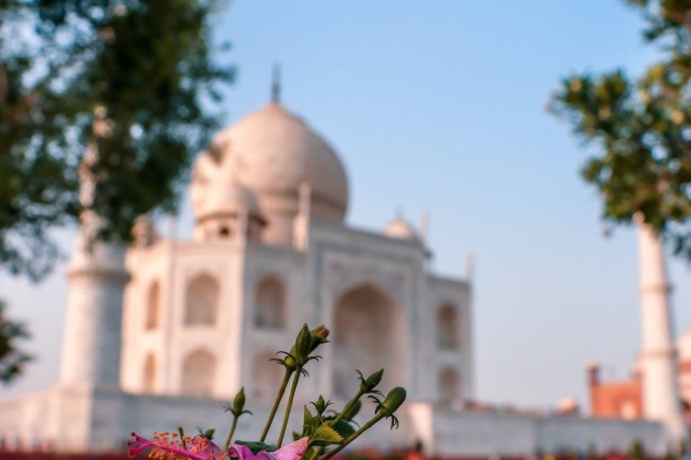 Agra: Visita sin colas al Taj Mahal al amanecer y al Fuerte de AgraRecorrido privado con conductor, coche, comida, entrada y guía turístico
