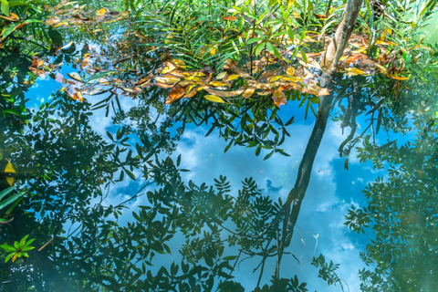 Ao Nang: Spływ kajakowy Crystal Pool, quady i wycieczka na farmę ananasów1-godzinna przejażdżka ATV